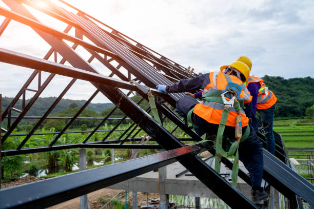 Roof Waterproofing Services in Beechwood, MI