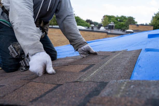 Best Shingle Roofing Installation  in Beechwood, MI