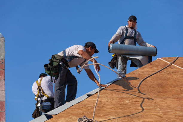 Best Roof Waterproofing Services  in Beechwood, MI