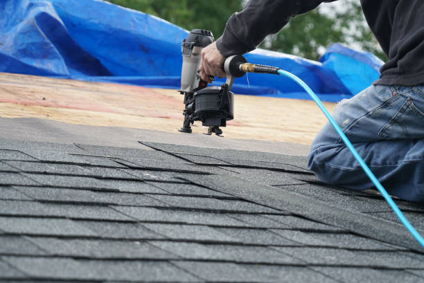 Best Emergency Roof Repair  in Beechwood, MI