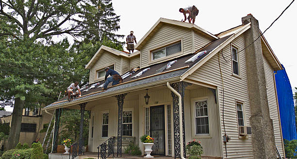 Best Roof Gutter Cleaning  in Beechwood, MI