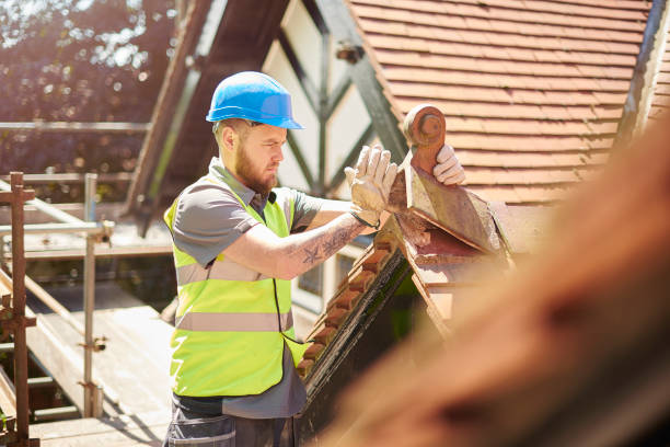 Best Storm Damage Roof Repair  in Beechwood, MI